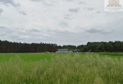 Piękne działki przy lesie (stefanowskie holendry)