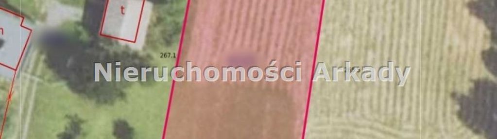 Piękna działka pod lasem