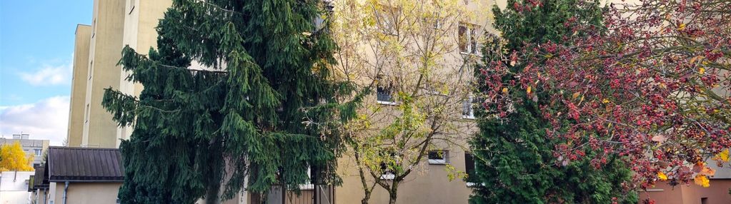 Bydgoszcz galla anonima fordon atrakcyjne 53m2