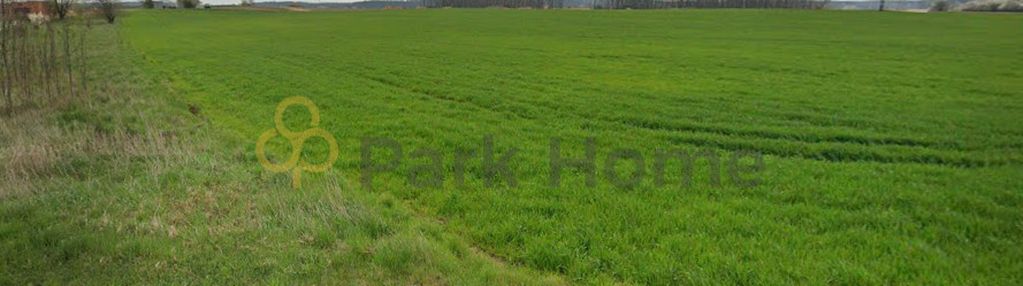 Duża działka na duży dom