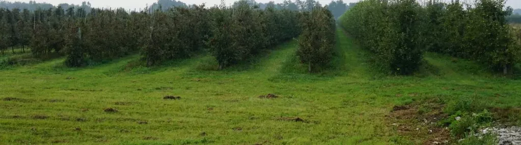 Działka na sprzedaż 152m2