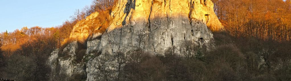 Na sprzedaż 1,3 ha działki leśno-rolnej, okazja