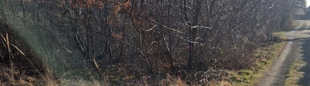 Inwestycyjna działka w rewelacyjnej lokalizacji