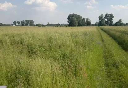 Działka na sprzedaż 1050m2