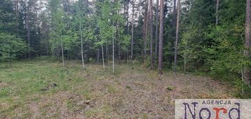 Działka w puszczy augustowskiej