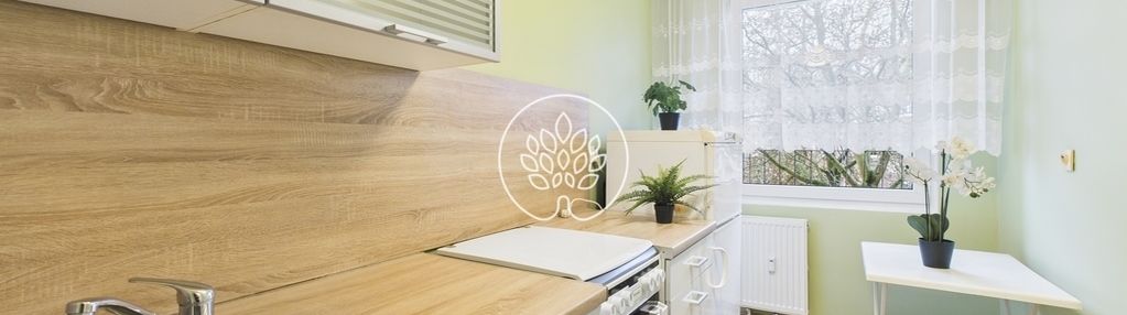 Kawalerka na wynajem