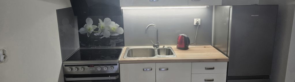 Słoneczne mieszkanie z balkonem w budynku z windą