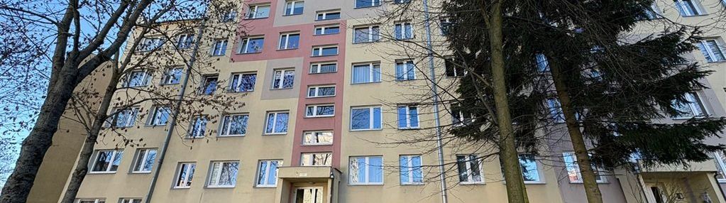 Mieszkanie na zabobrzu niskie piętro elsnera