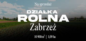 Działka rolno-rekreacyjna | 1,09 ha zabrzeż-łącko
