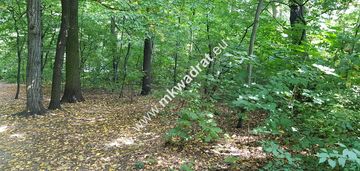 Działka budowlana częściowo zadrzewiona