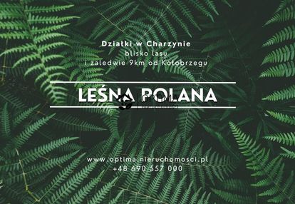 1 z 54 działek, widok na las, wz, obok vilpark