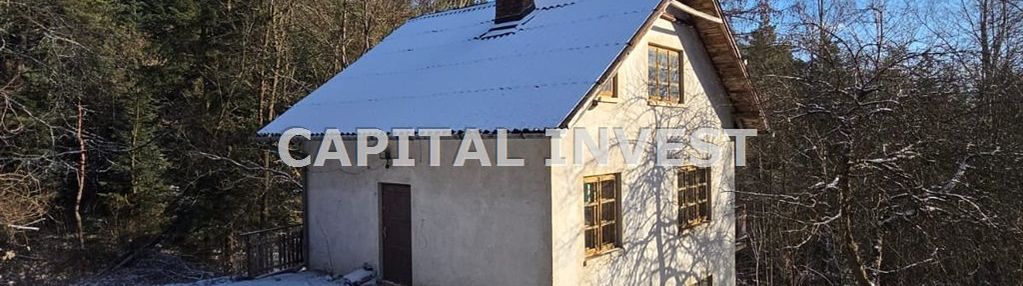 Dom w lesie nad jeziorem