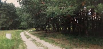 Działka przy rezerwacie!!!