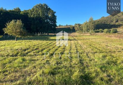 Działka z wydanymi warunkami zabudowy.