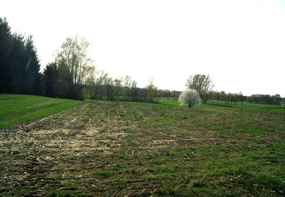 Działki budowlane na mazurach, jedyne i ostatnie