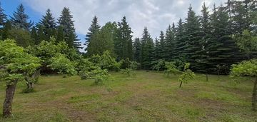 Działka z domem – zakręt, 2100 m²