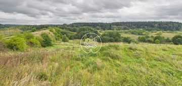 Piękna działka z widokiem na dolinę. negocjacja !