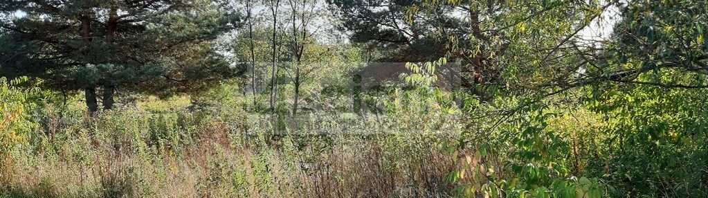 Kaliszki 500 metrów od parku narodowego