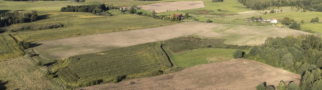 Duży teren z potencjałem koło pasłęka