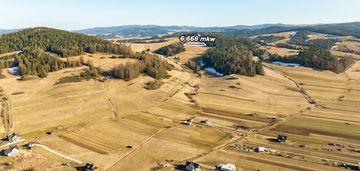 Szukasz lokaty kapitału w sąsiedztwie lasu?