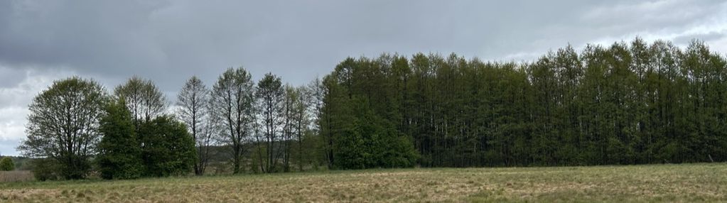 Działki w malowniczej lokalizacji bory tucholskie