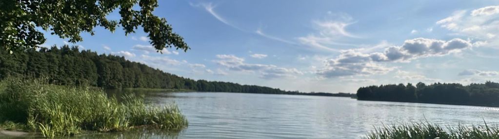 Wielki podleś – działka 2212 m², 150 m od jeziora