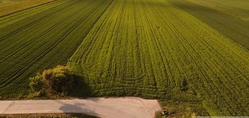 Atrakcyjna działka budowlana 919 m² – nowe opole