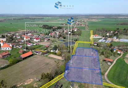 Cisza i przestrzeń – słonecznik, gmina morąg