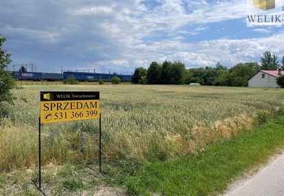 Działka komercyjna w terespolu