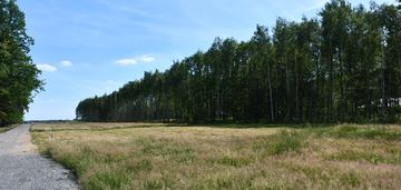 Działki 10a pod zabudowę pod lasem- widełka