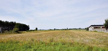 Duża działka w ciężkowicach.