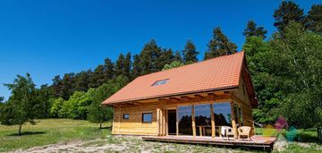 Wyjątkowy nowy drewniany dom w otoczeniu lasu