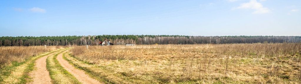 Ostatnia działka budowlana pod lasem!