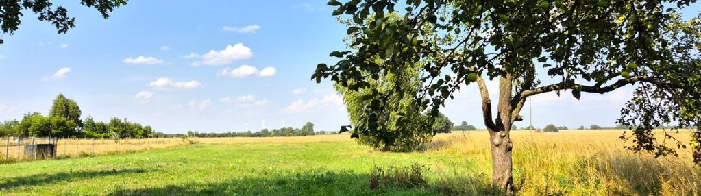 Działka budowlana wśród pól/ prusinowiczki