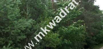 Urokliwa działka siedliskowa 27.500m2