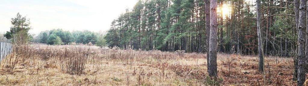 Działka 8500 m2, jurowce