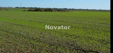 Kozielec - działka 3000 m2 z warunkami zabudowy!