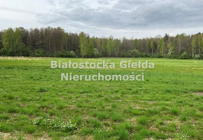 ###działka 9300m2//piliki//spokojna okolica###