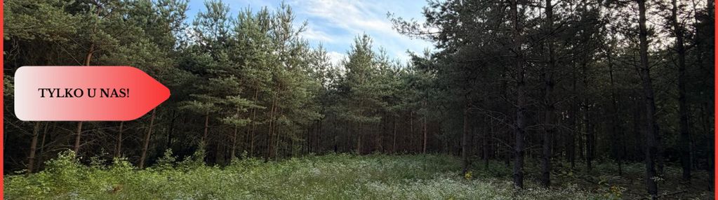 3 ha las, staw | wydane warunki zabudowy