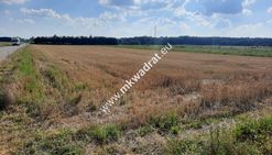 Działka inwestycyjna koło janek