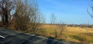 Opole lubelskie – duża działka rolna 4 822 m²