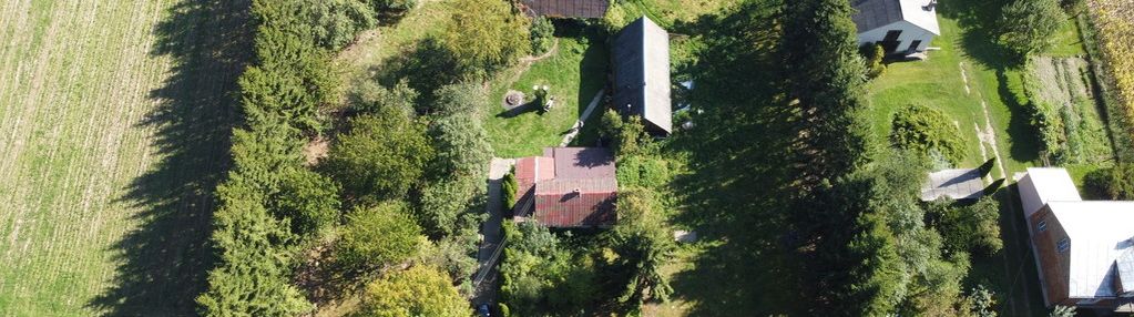 Klimatyczne siedlisko 2,2 ha z własnym lasem