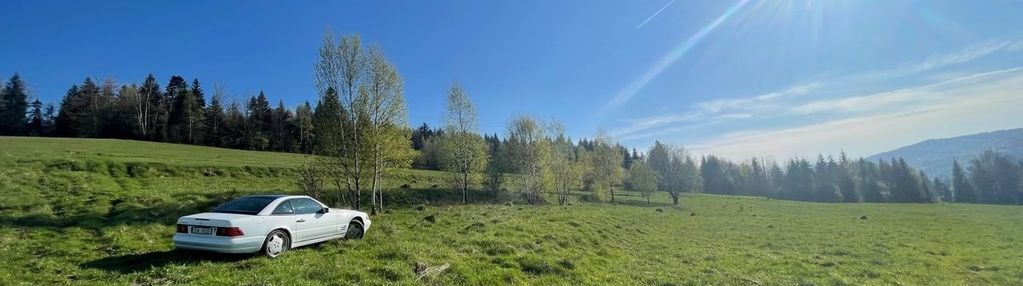 2 ha widokowej dzialki z mozliwoscia zabudowy!