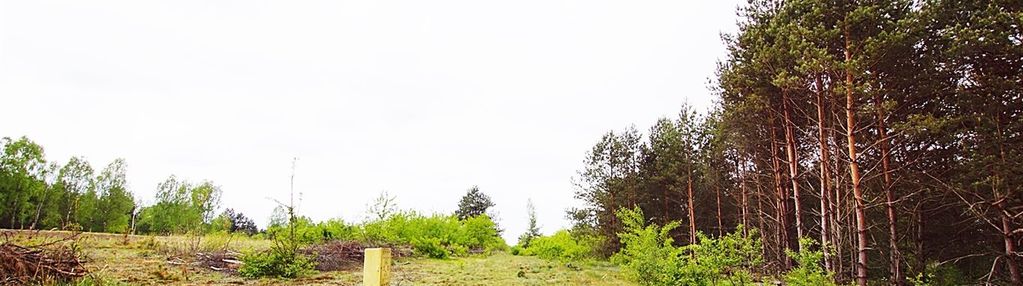 Działki budowlane +wz- grabówka