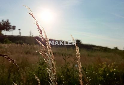 Atrakcyjna działka na sprzedaż