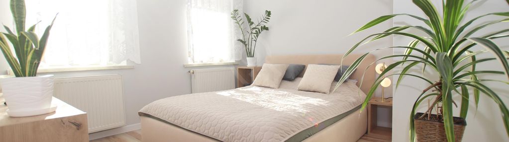 2/3 pokoje | oddzielna kuchnia | centrum | jasne