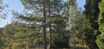 Działka budowlana blisko rzeki wkra