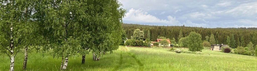 Sielankowa działka z lasem, cisza i spokój
