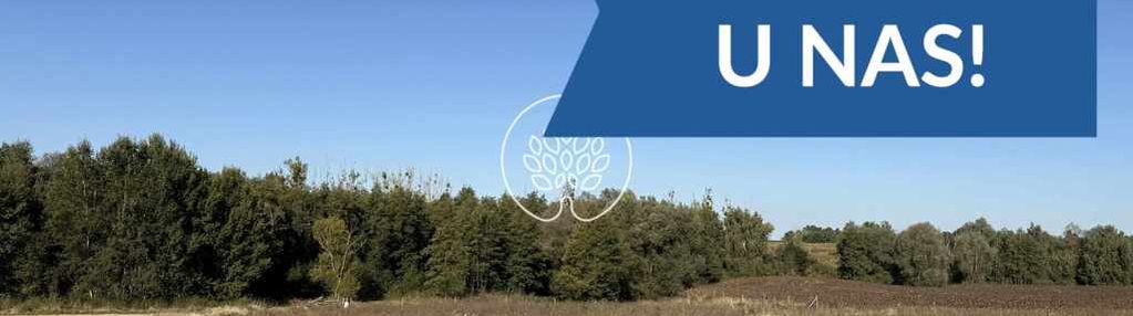 Prawie pół hektara szczutki - warunki zabudowy