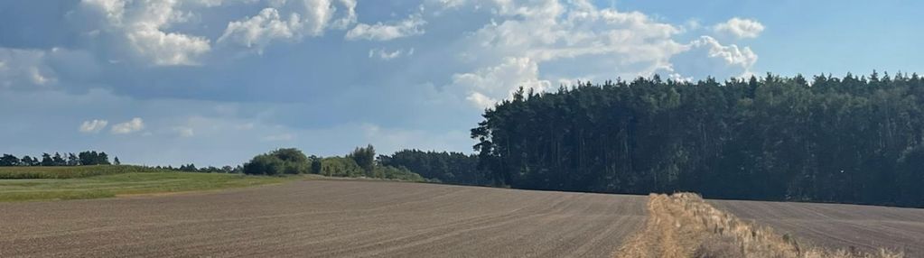 Działka budowlana przy lesie, szydłowo ul.ogrodowa